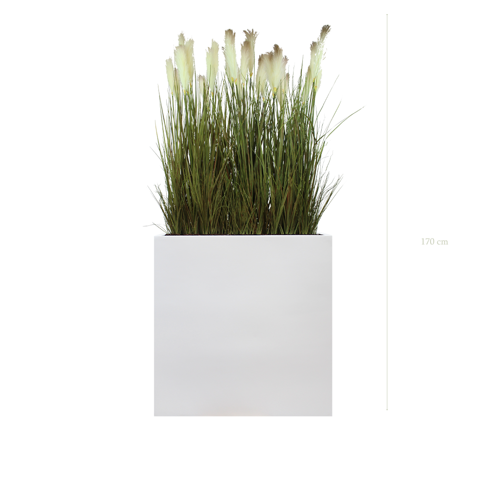 Séparateur L. Pampas 170 cm - Bac Blanc - Artificiel