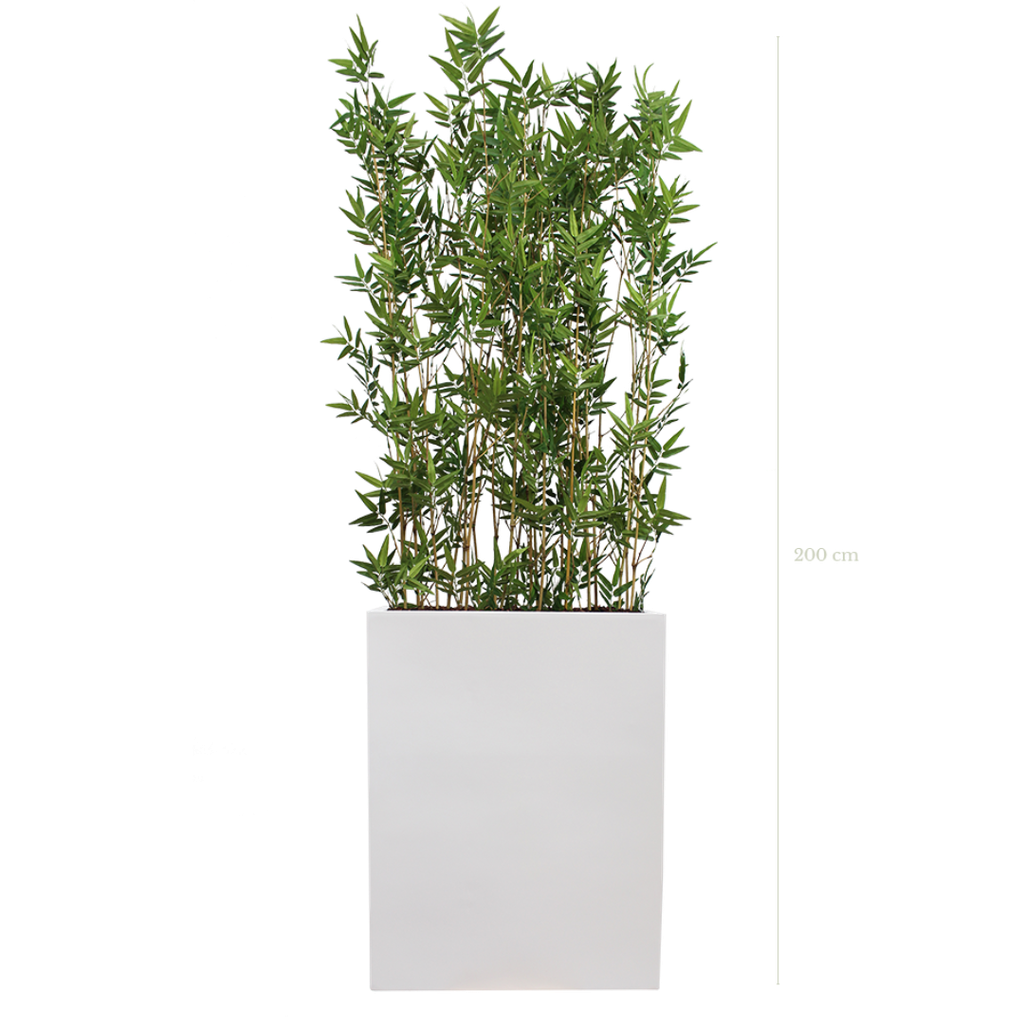 Séparateur M. Bambous 200 cm - Bac Blanc - Semi-naturel