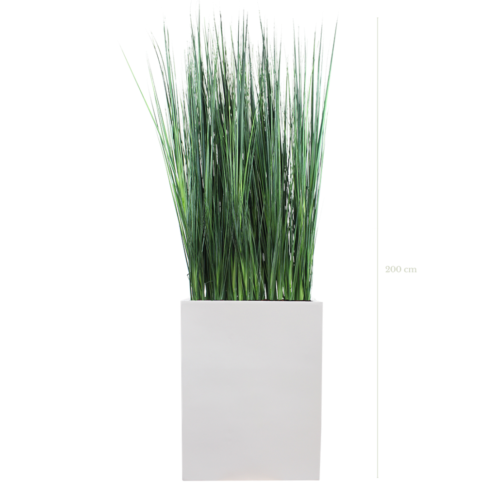 Raumteiler M. Zen-Gräser 200 cm - Weißer Pflanzkübel #Künstlich
