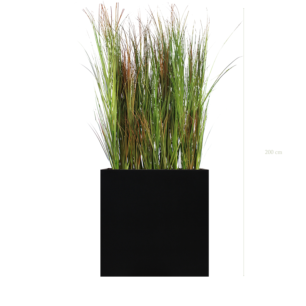 Séparateur L. Graminées Scandinave 200 cm - Bac Noir - Artificiel