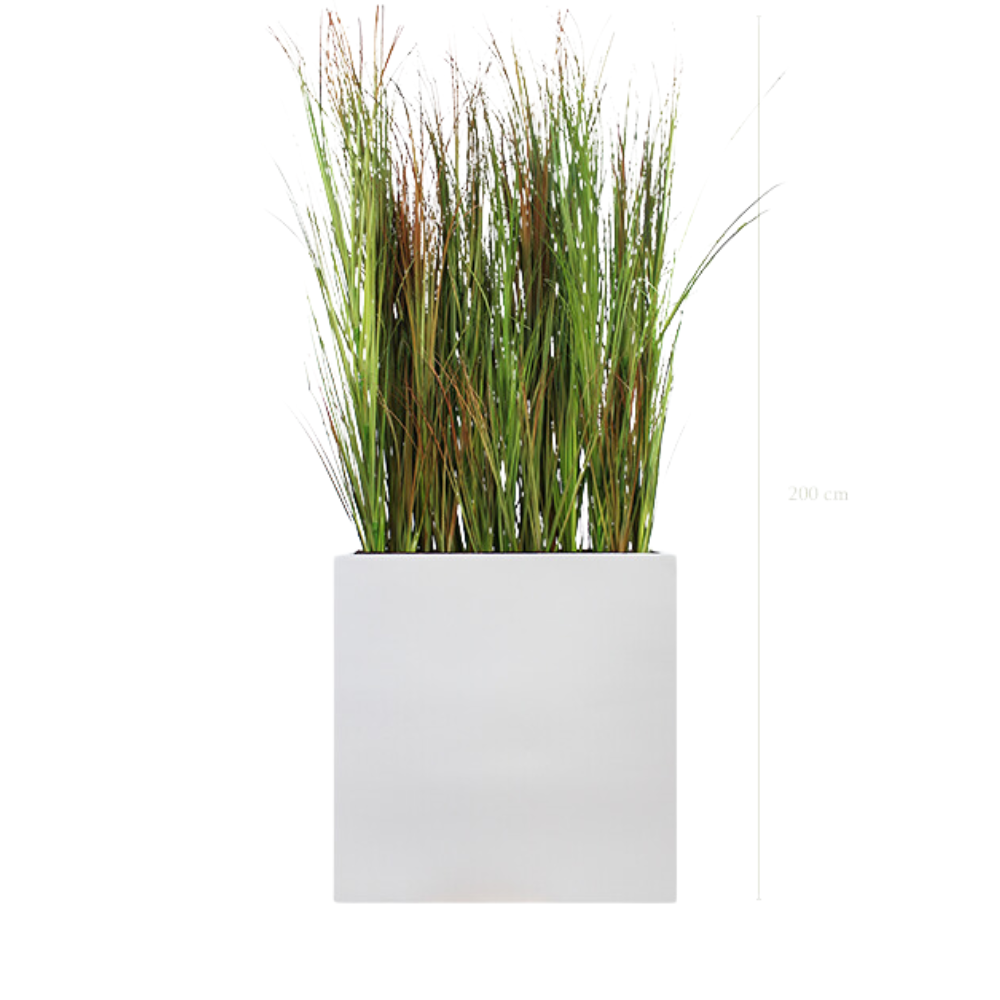 Raumteiler L. Skandinavische Gräser 200 cm – Weißer Pflanzkübel #Künstlich