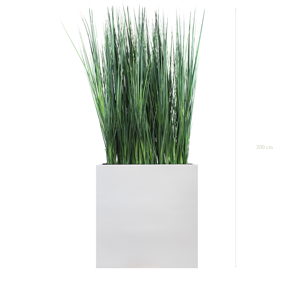Séparateur L. Graminées Zen 200 cm - Bac Blanc - Artificiel