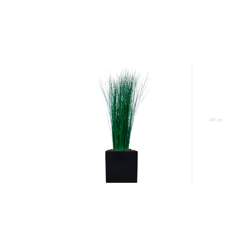 Das Kleine Gras – schwarzer kubischer Topf #Stabilisiert