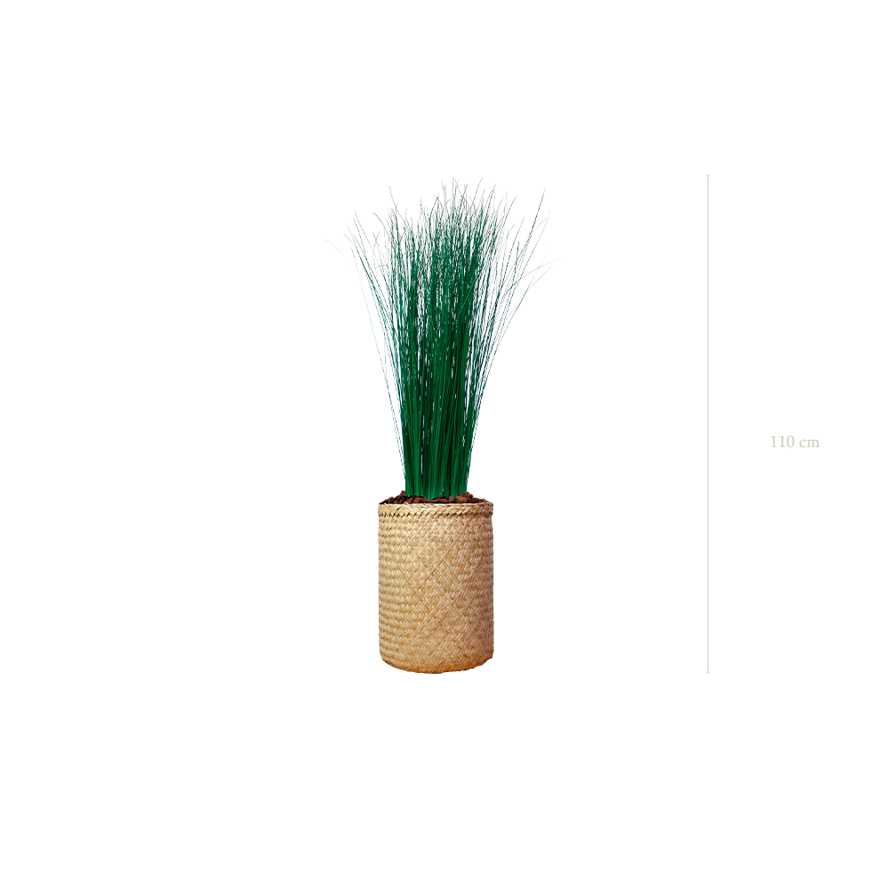 La Petite Graminée - Pot Tressé - Stabilisé