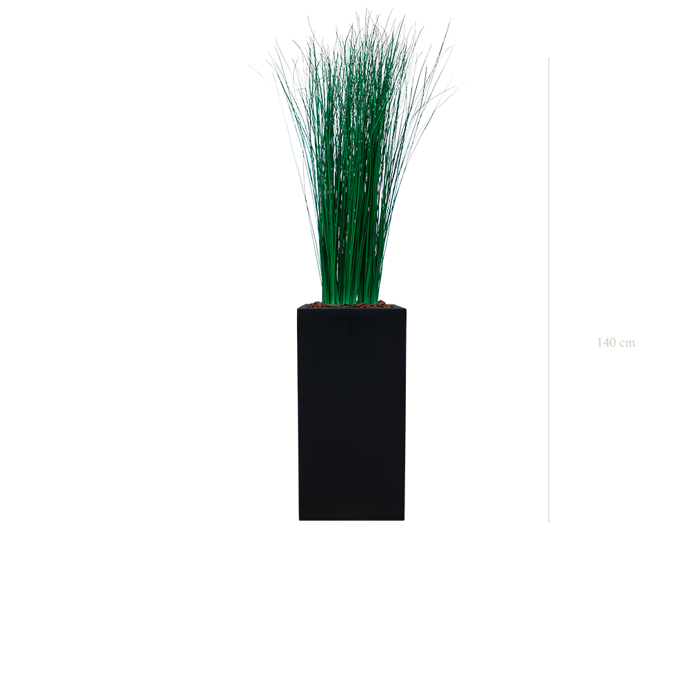 La Petite Graminée - Cube Haut Noir - Stabilisé
