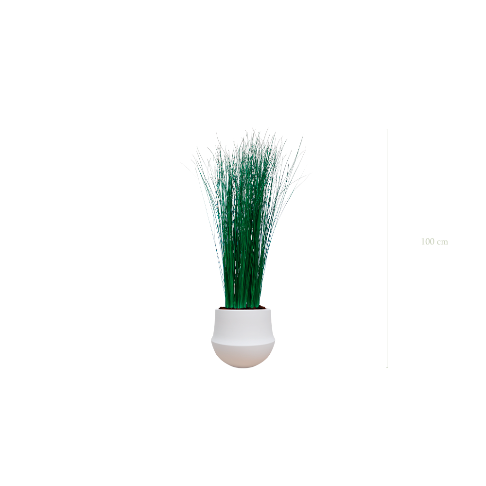 La Petite Graminée - Pot Rond Blanc - Stabilisé