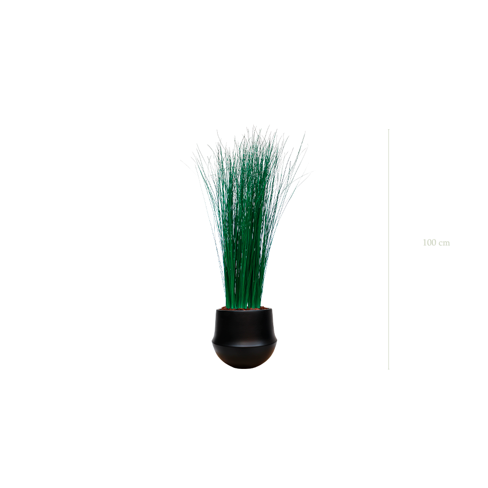 The Small Grass - Black Round Pot #Stabilized