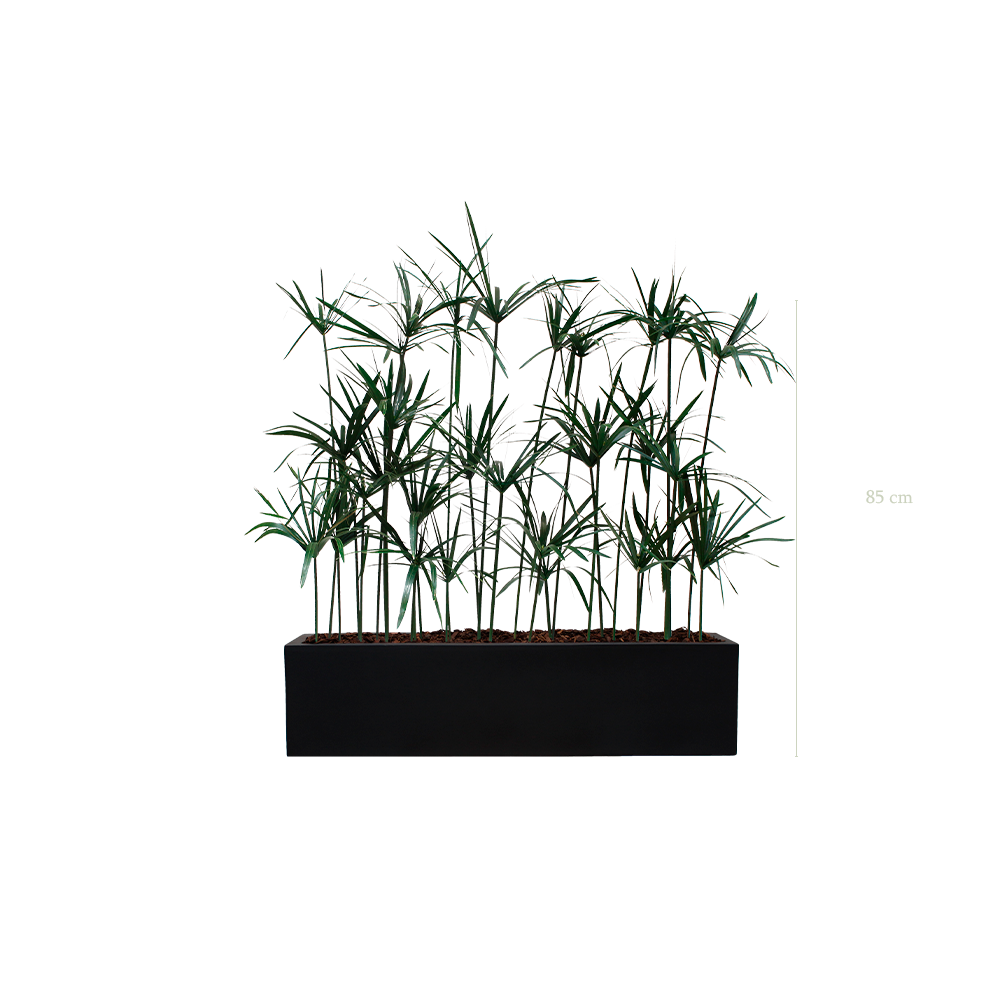 Jardinière Papyrus - Bac Noir - Stabilisé