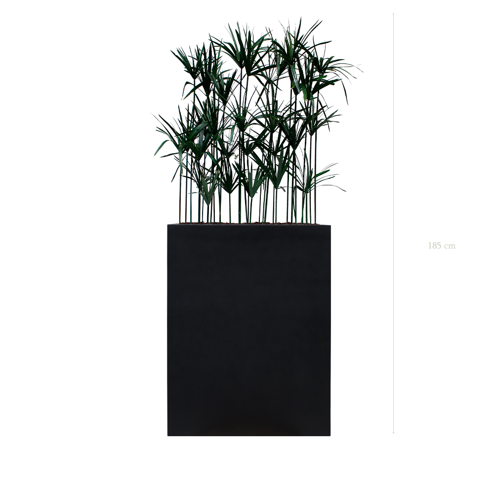 Séparateur M. Papyrus - Bac Noir - Stabilisé