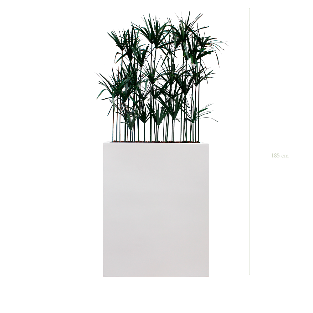 Raumteiler M. Papyrus - Weißer Pflanzkübel #Stabilisiert