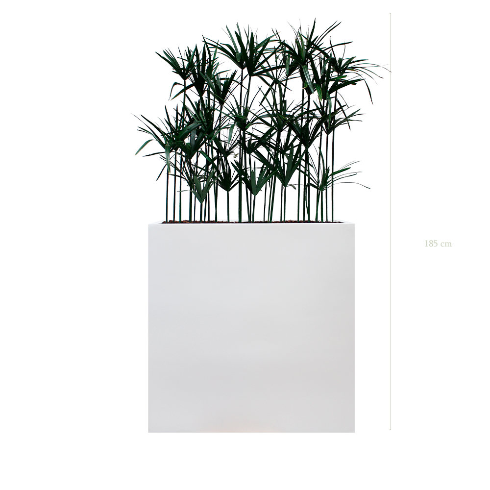 Séparateur L. Papyrus - Bac Blanc - Stabilisé