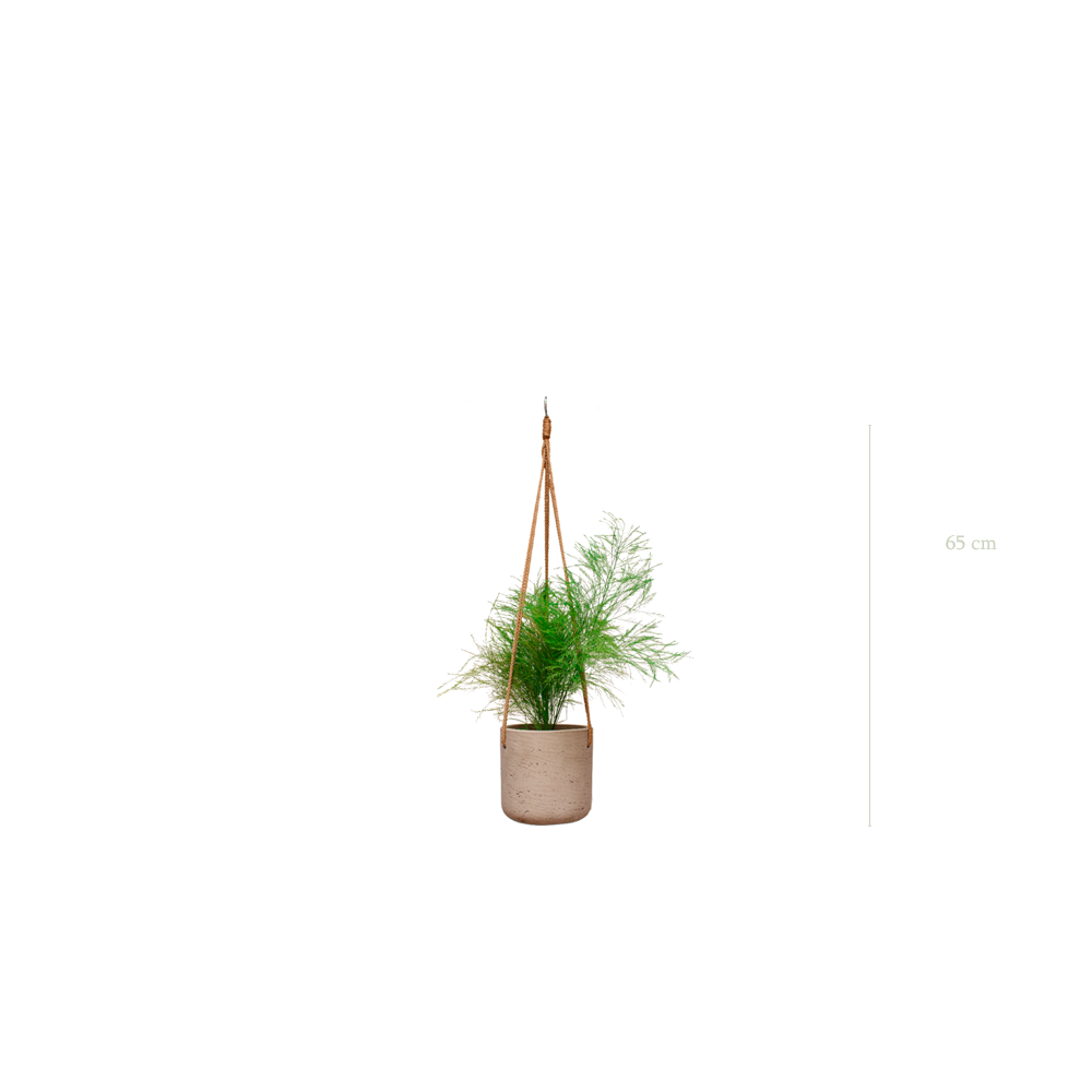 L'Herbe Folle - Pot Béton - Stabilisé