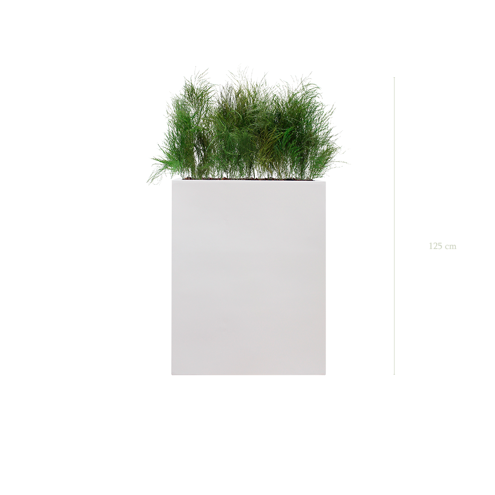 Séparateur M. Herbe Folle - Bac Blanc - Stabilisé