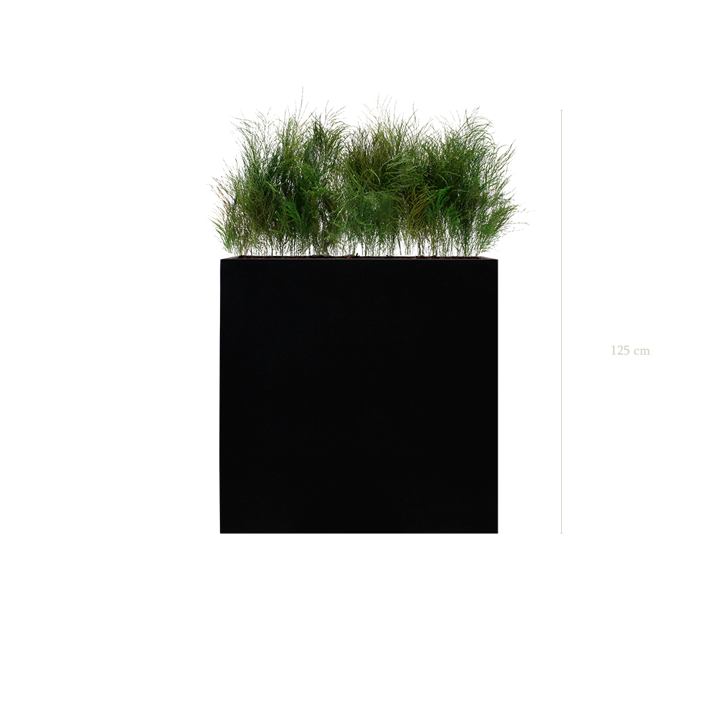 Séparateur L. Herbe Folle - Bac Noir - Stabilisé