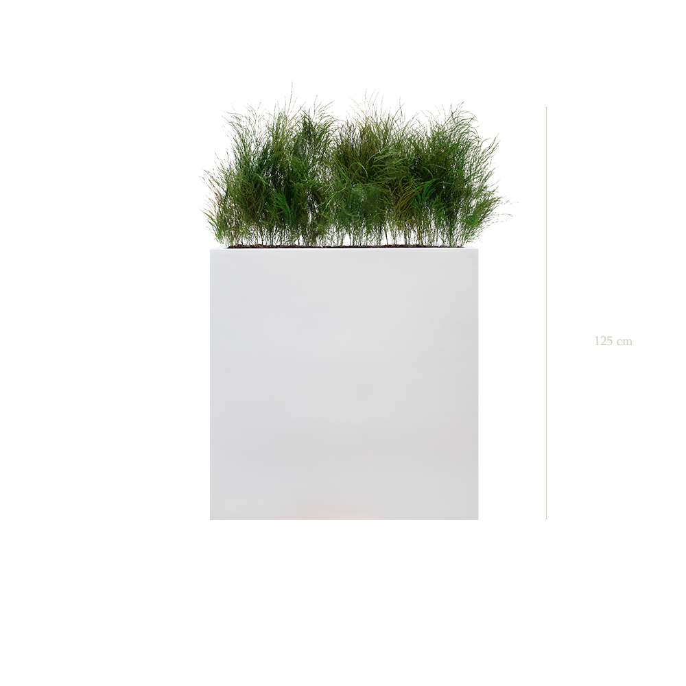 Séparateur L. Herbe Folle - Bac Blanc - Stabilisé