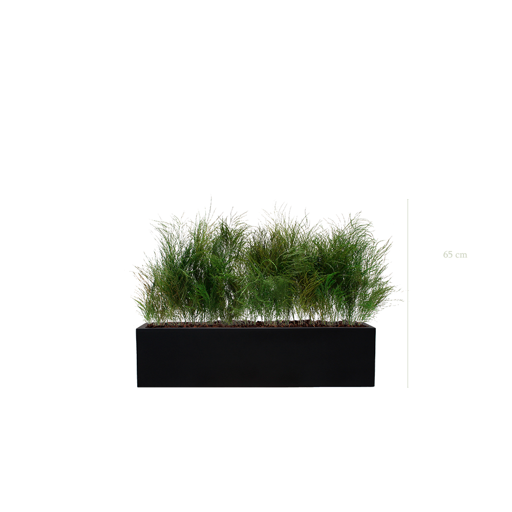Jardinière Herbe Folle- Bac Noir - Stabilisé