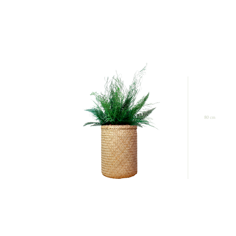 La Forêt - Pot Tressé - Stabilisé