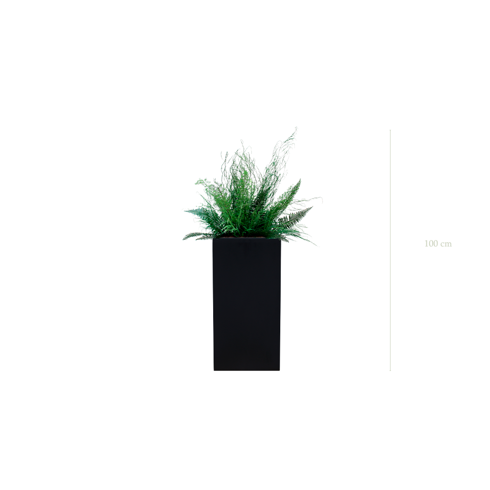 La Forêt - Cube Haut Noir - Stabilisé