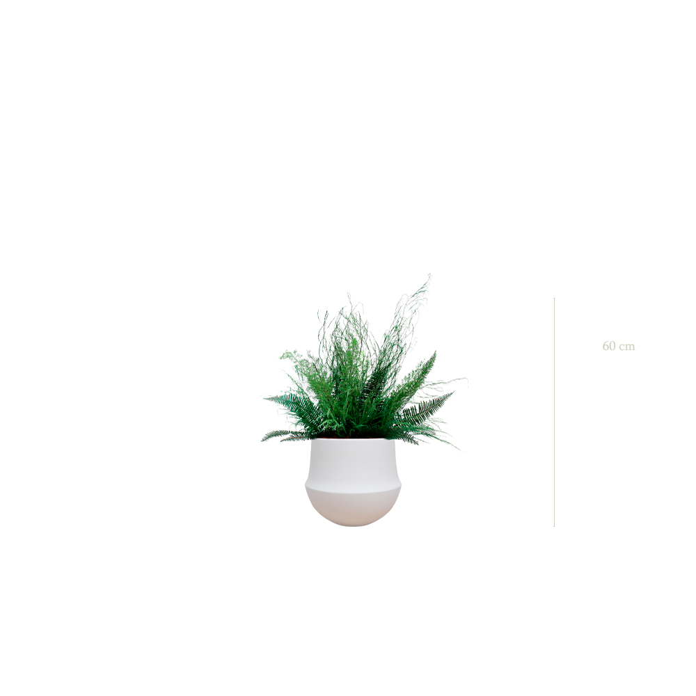 La Forêt - Pot Rond Blanc - Stabilisé