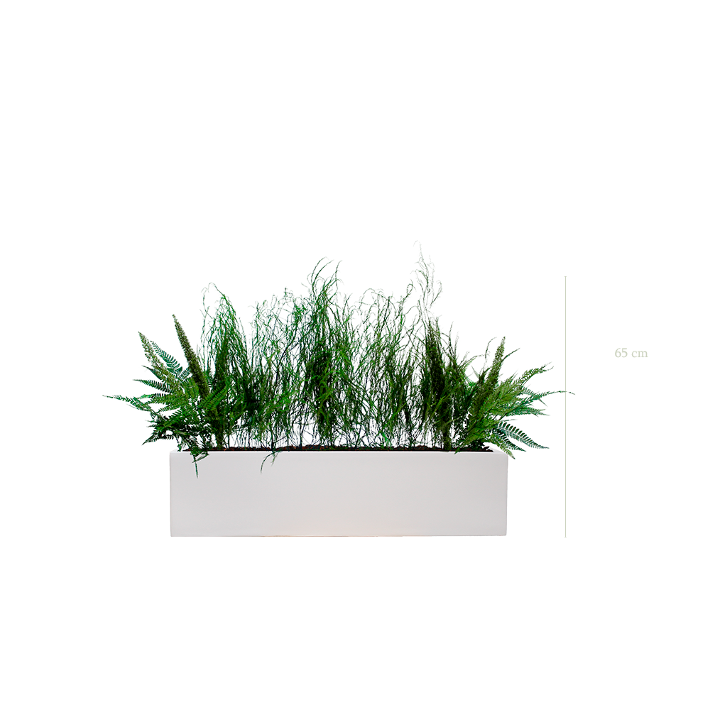 Jardinière Forêt - Bac Blanc - Stabilisé