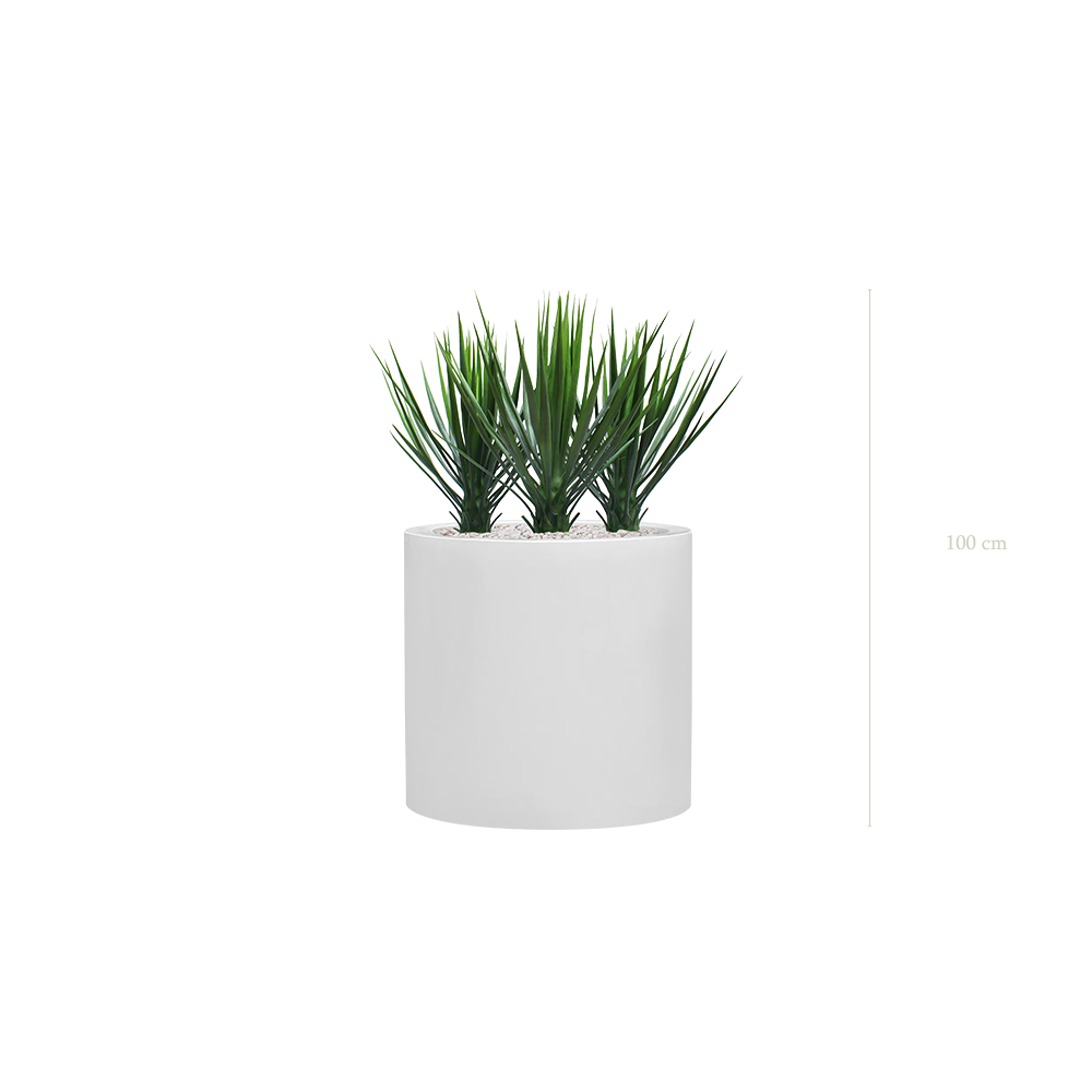 Les Yuccas - Cylindre Blanc - Extérieur - Artificiel