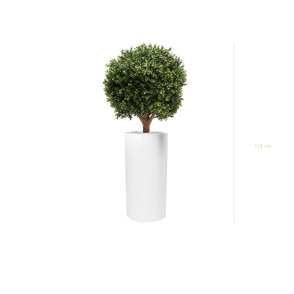 Le Buis - Cylindre Haut Blanc - Extérieur - Artificiel