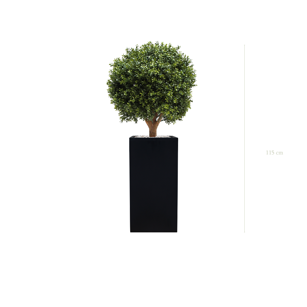 Le Buis - Cube Haut Noir - Extérieur - Artificiel