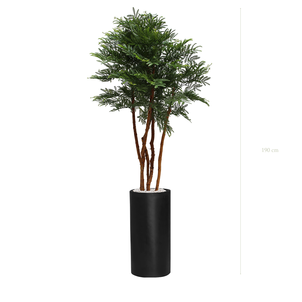 Le Tamarinier - Cylindre Haut Noir - Extérieur - Artificiel
