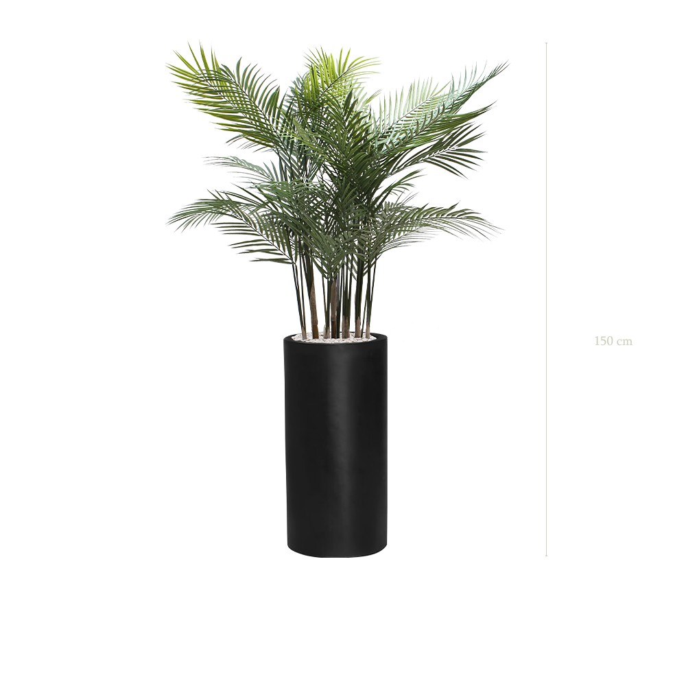 Die Areca – Schwarzer Hochzylinder #Außenbereich #Künstlich