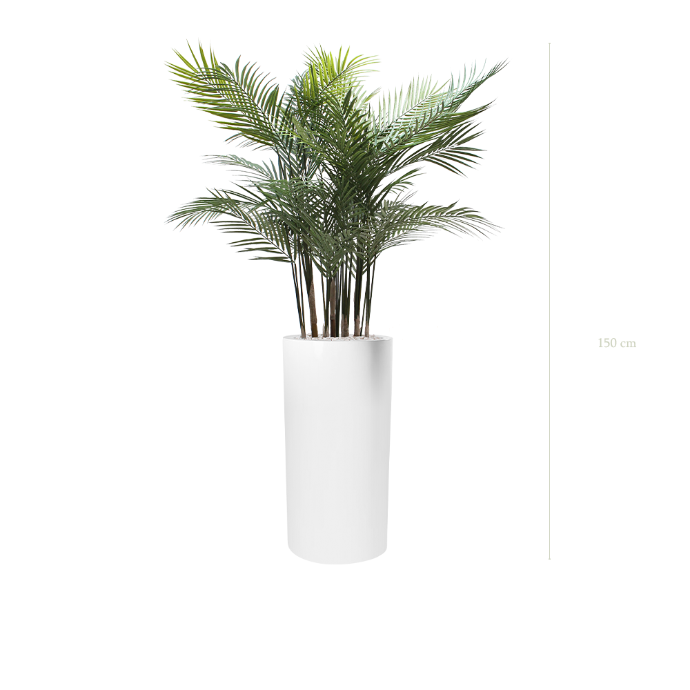 L'Areca - Cylindre Haut Blanc - Extérieur - Artificiel