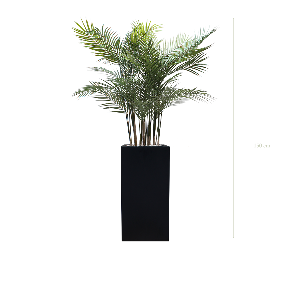 L'Areca - Cube Haut Noir - Extérieur - Artificiel