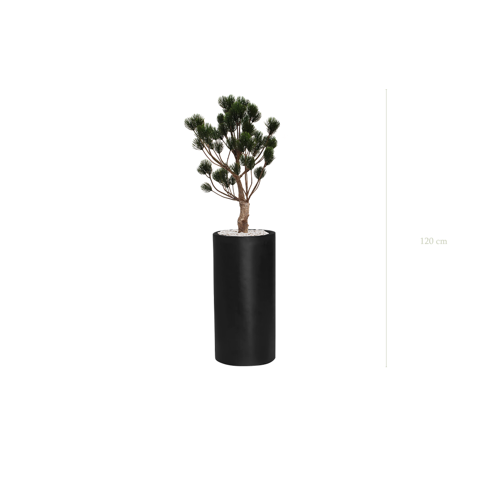Le Pin de Garrigue - Cylindre Haut Noir - Extérieur - Artificiel