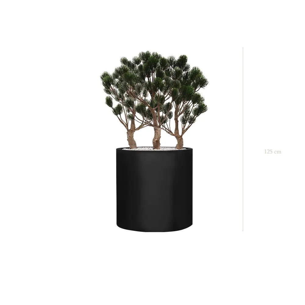 Les Pins de Garrigue - Cylindre Noir - Extérieur - Artificiel
