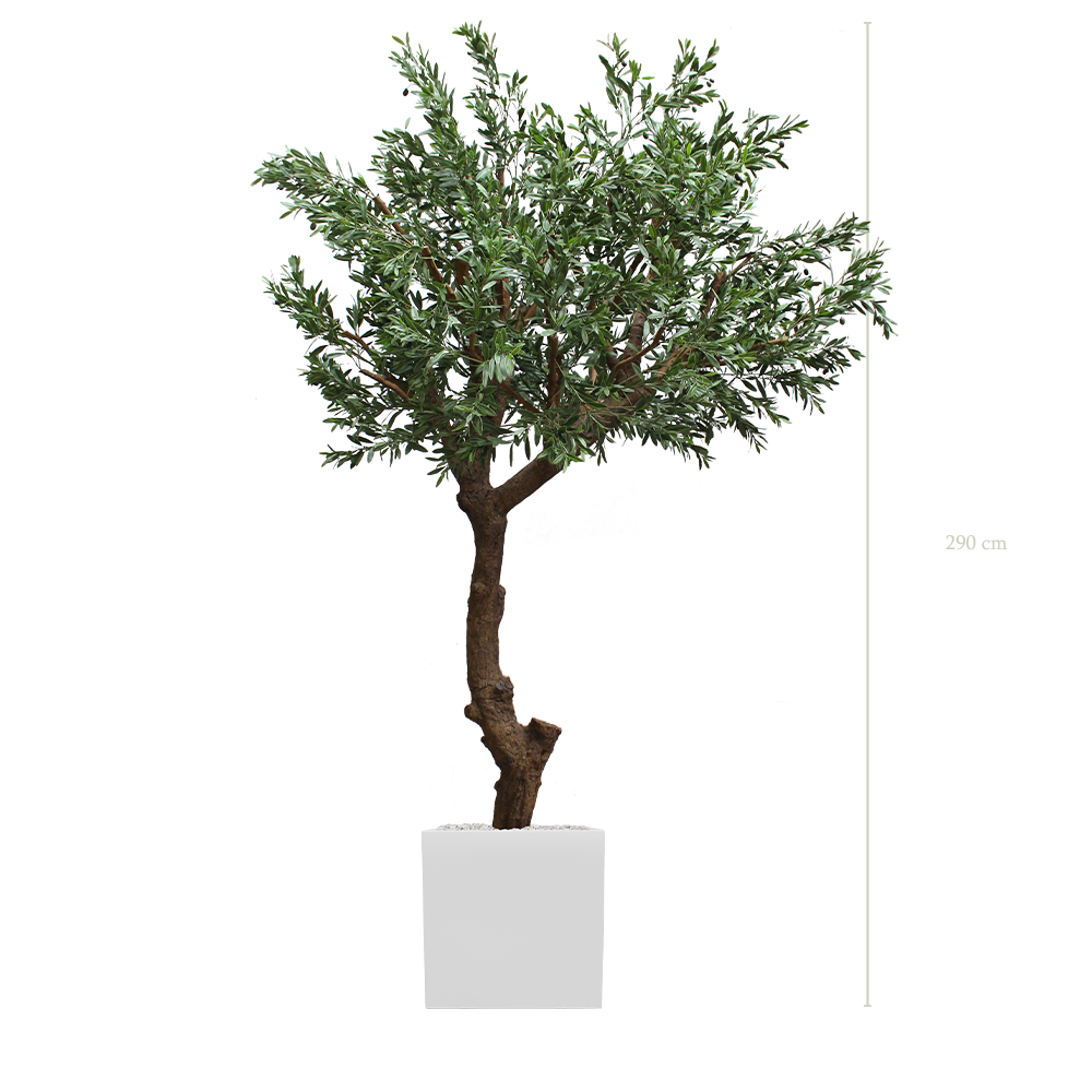 L’Olivier 290 - Cube Blanc - Extérieur - Artificiel