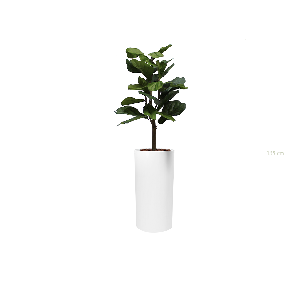 Le Lyrata - Cylindre Haut Blanc - Artificiel