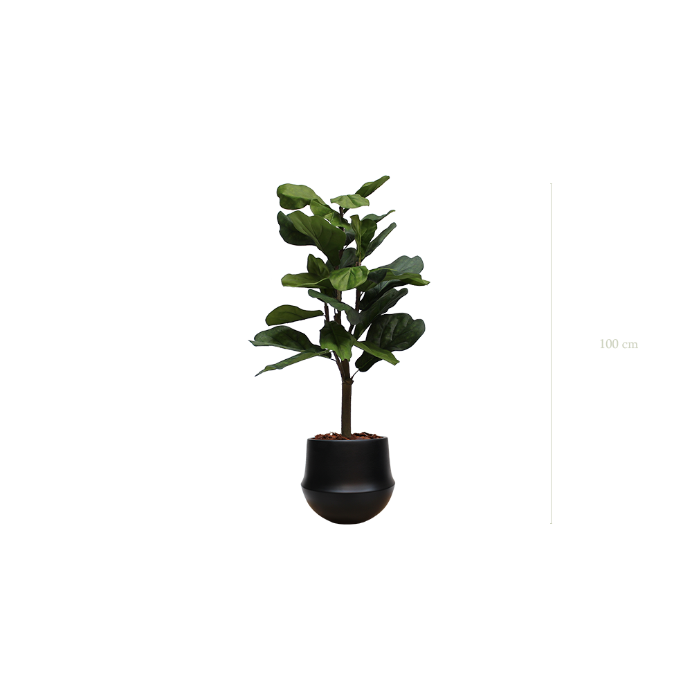 Le Lyrata - Pot Rond Noir - Artificiel