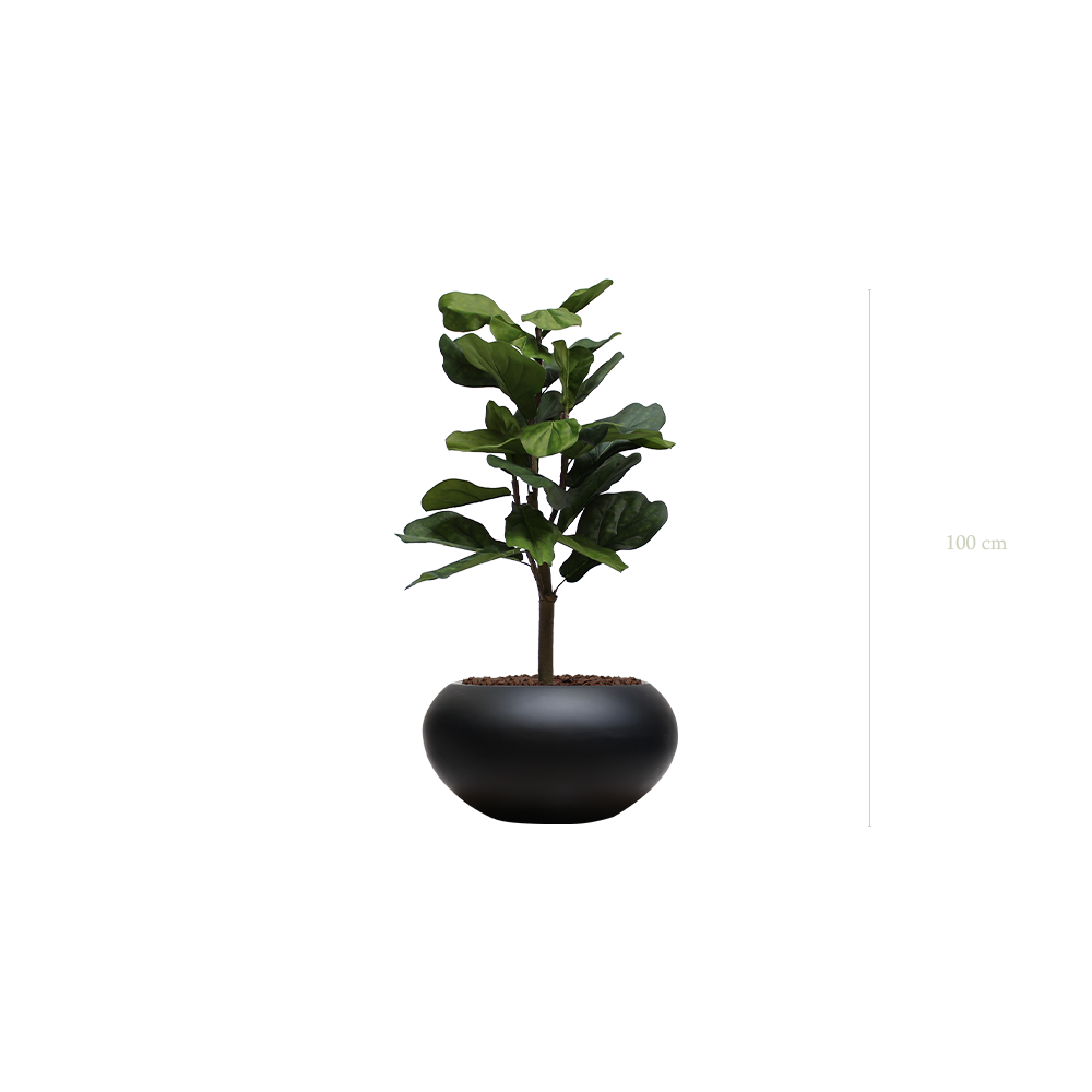 Le Lyrata - Pot Ovale Noir - Artificiel