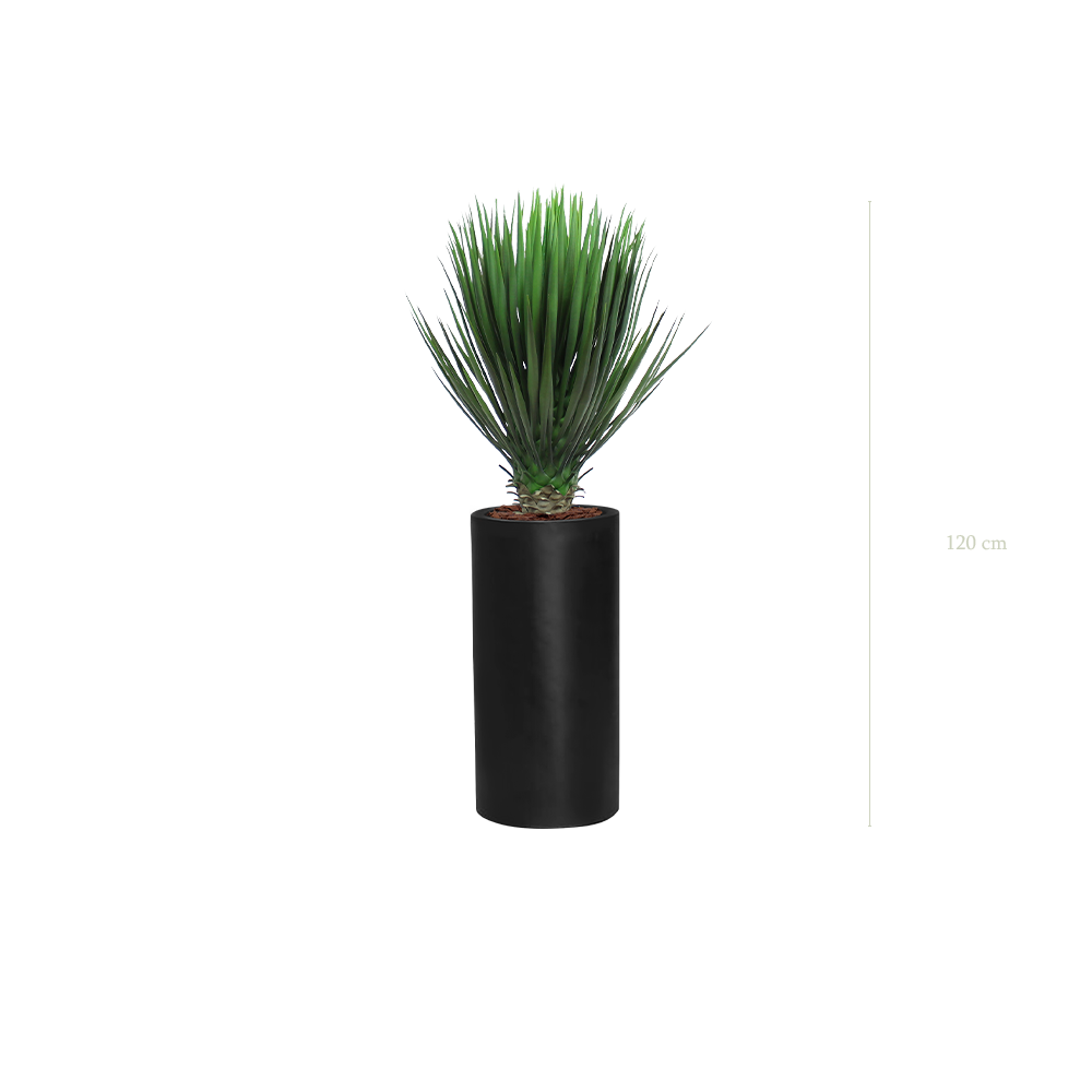 Le Yucca - Cylindre Haut Noir - Artificiel