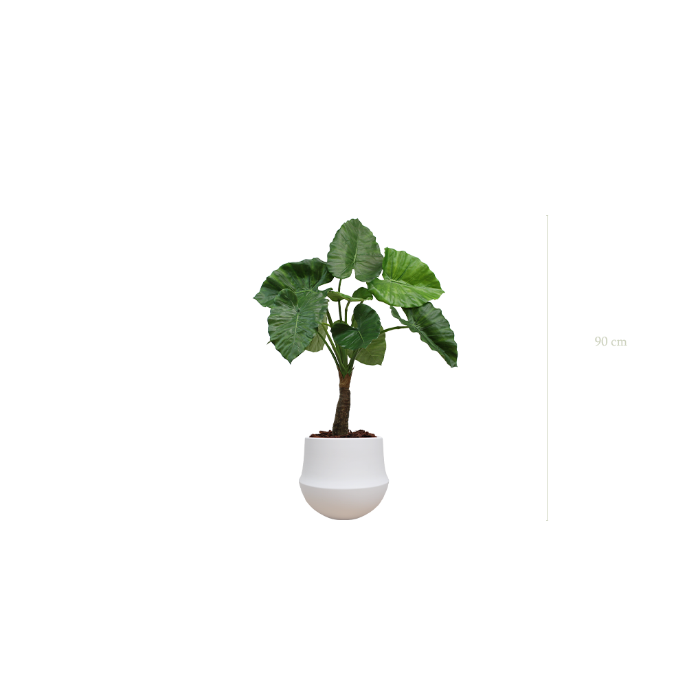 Le Petit Alocasia - Pot Rond Blanc - Artificiel