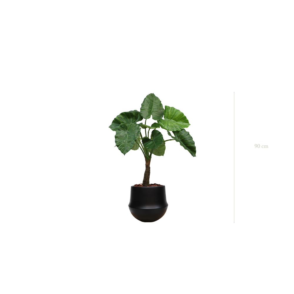 Le Petit Alocasia - Pot Rond Noir - Artificiel