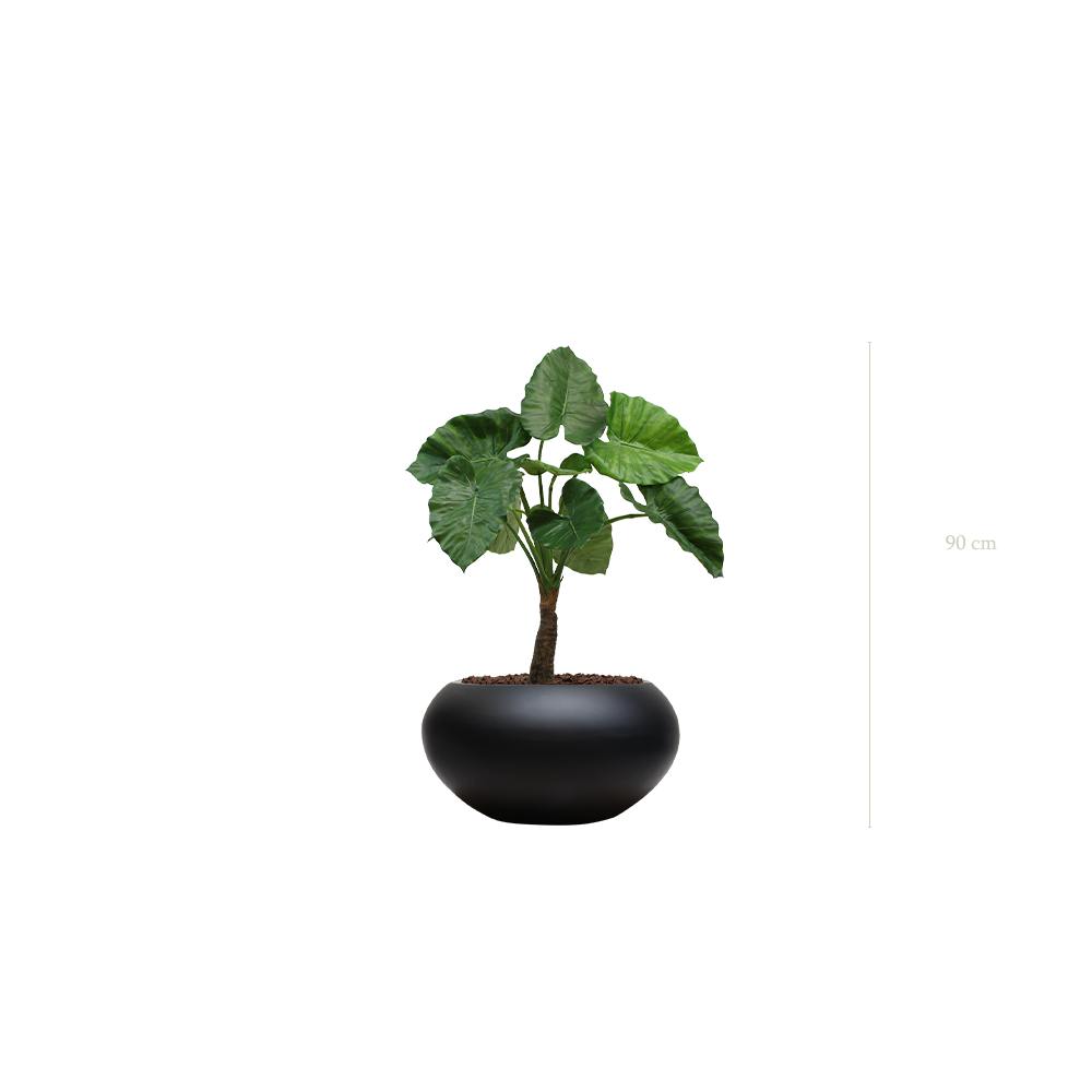 Le Petit Alocasia - Pot Ovale Noir - Artificiel