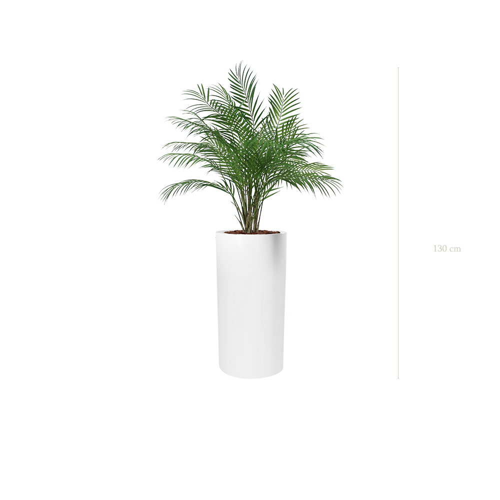 Le Palm - Cylindre Haut Blanc - Artificiel