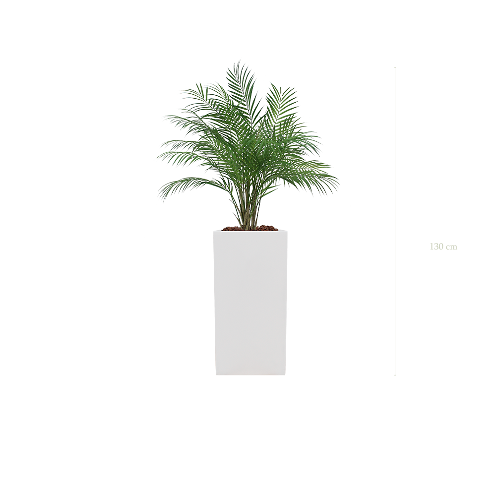 Le Palm - Cube Haut Blanc - Artificiel