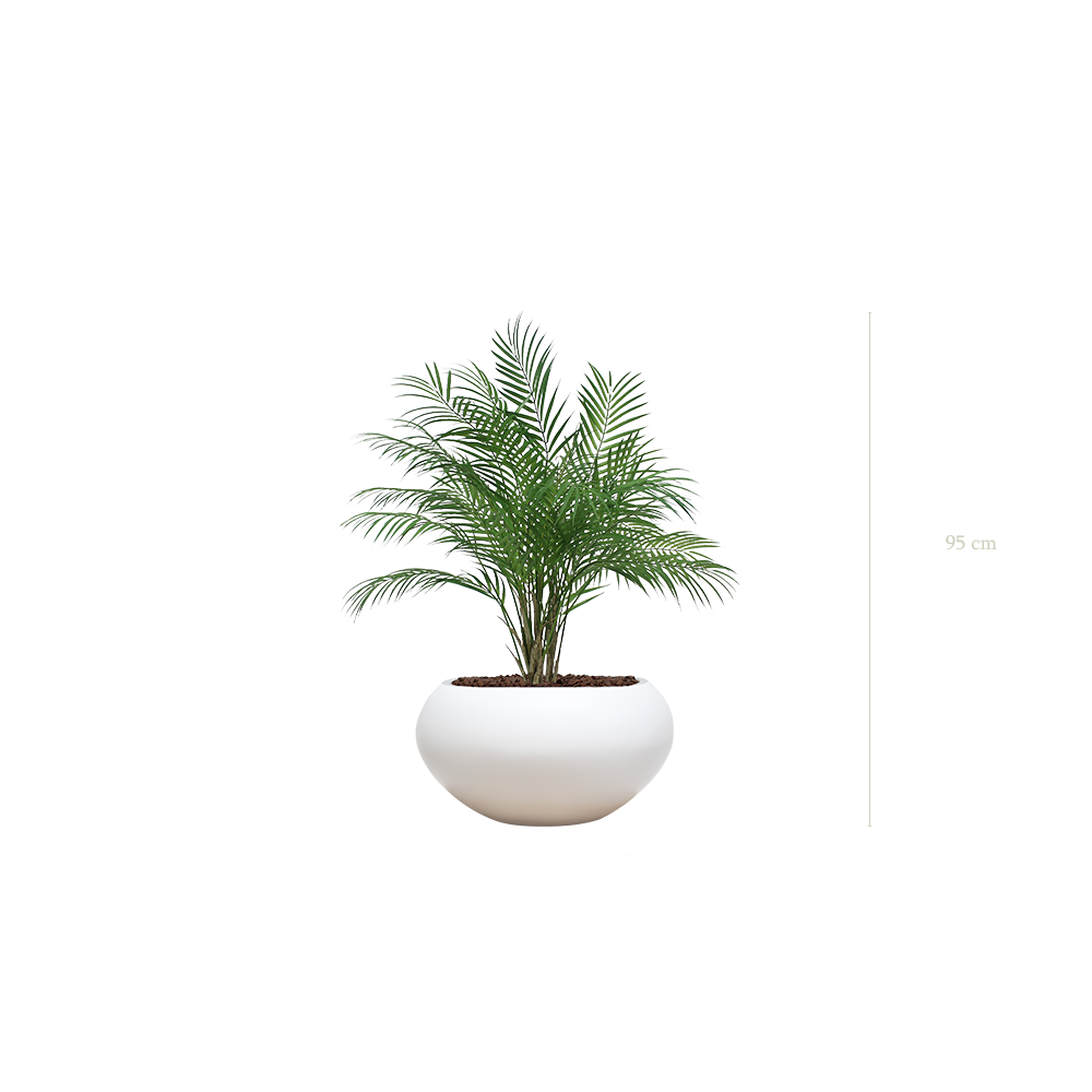 Le Palm - Pot Ovale Blanc - Artificiel