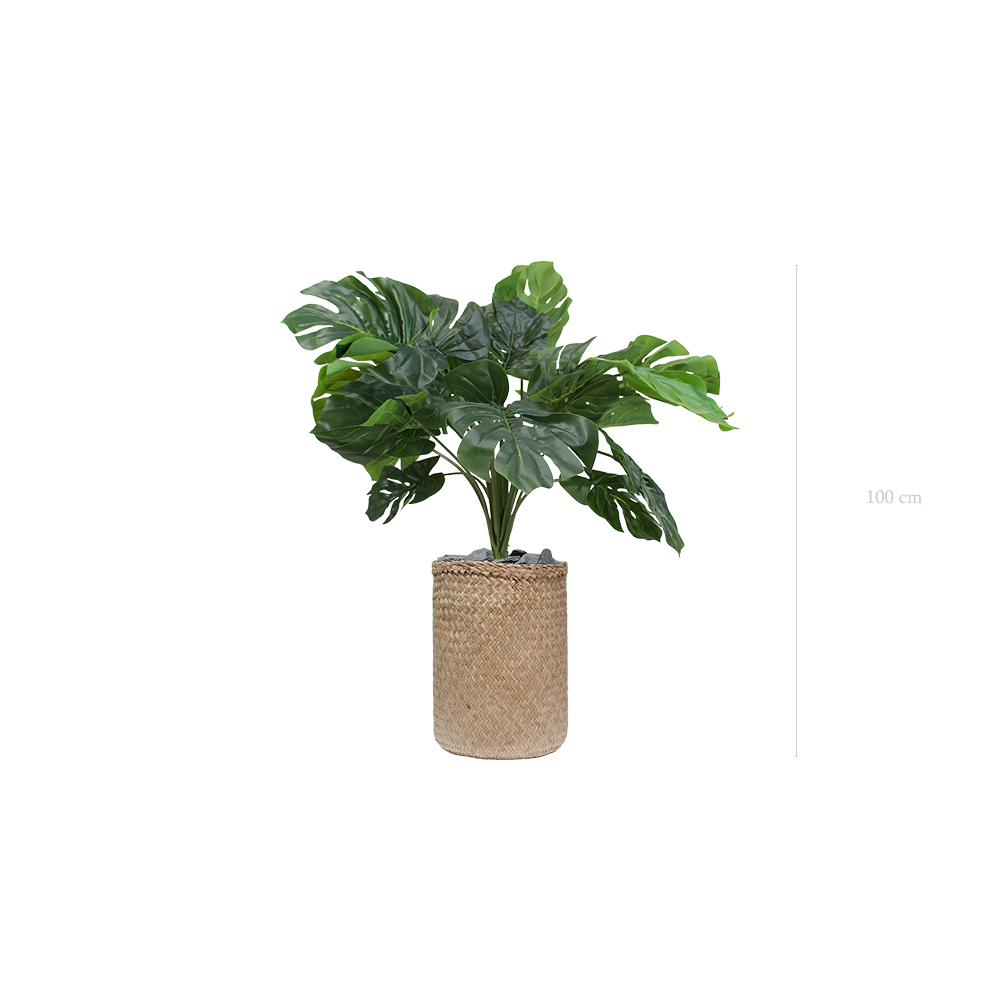La Petite Monstera - Pot Tressé - Artificiel