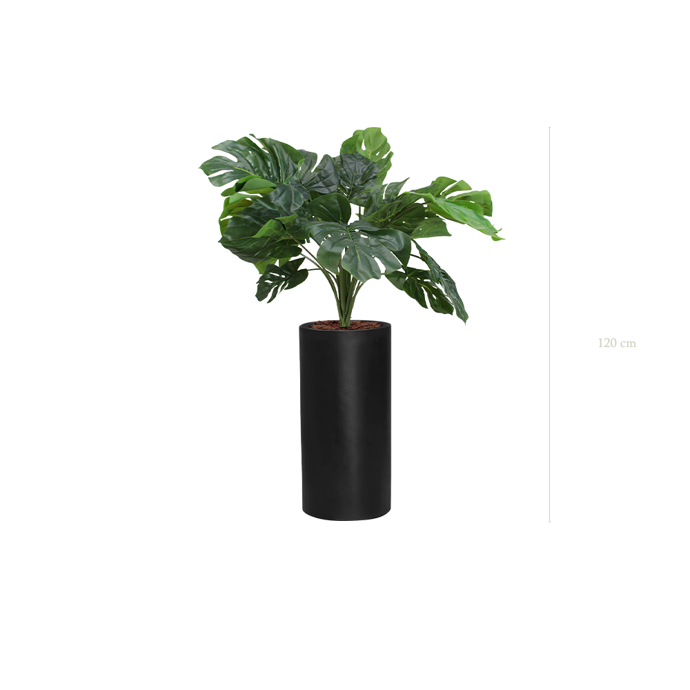 La Petite Monstera - Cylindre Haut Noir - Artificiel