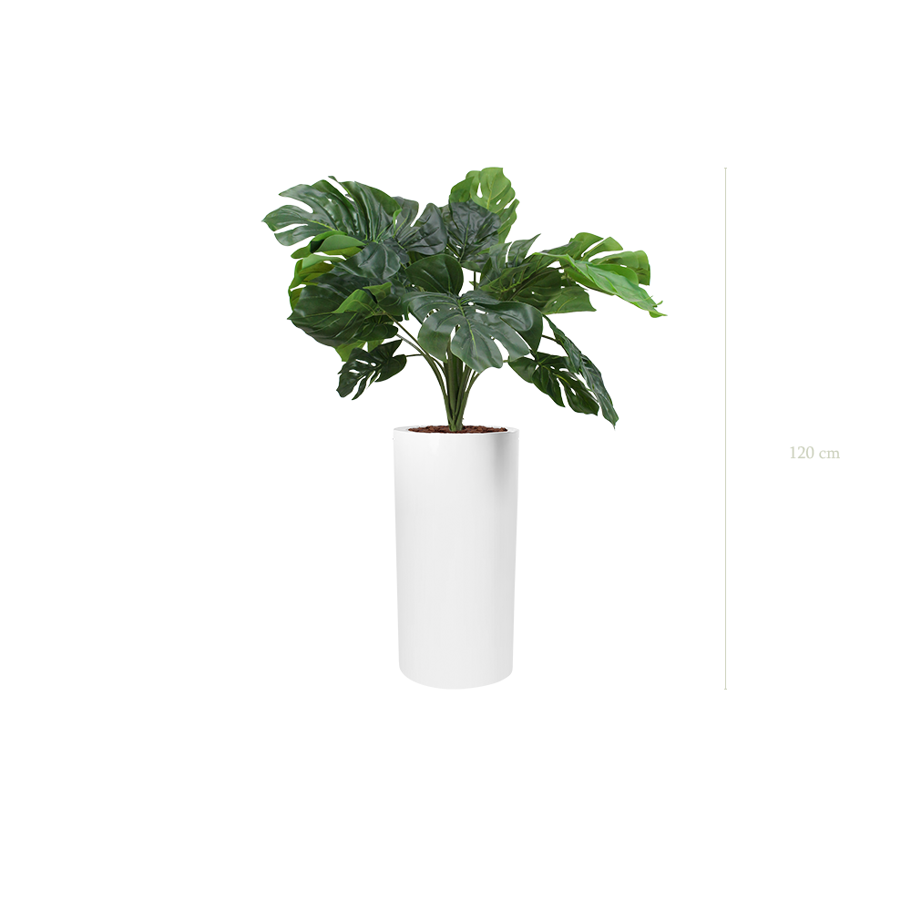 La Petite Monstera - Cylindre Haut Blanc - Artificiel