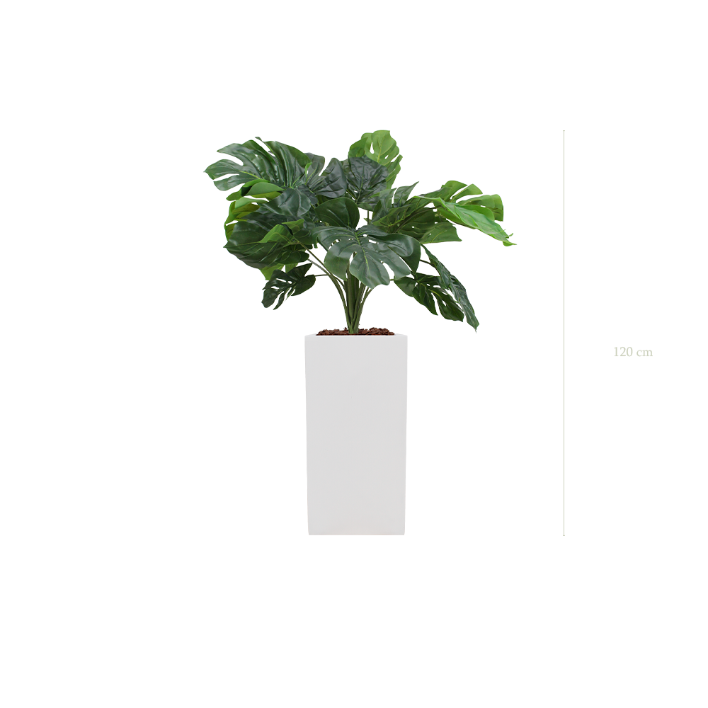La Petite Monstera - Cube Haut Blanc - Artificiel