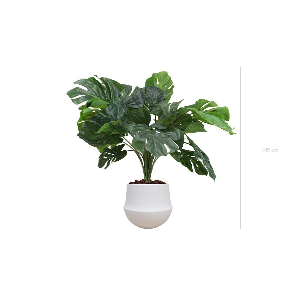 La Petite Monstera - Pot Rond Blanc - Artificiel