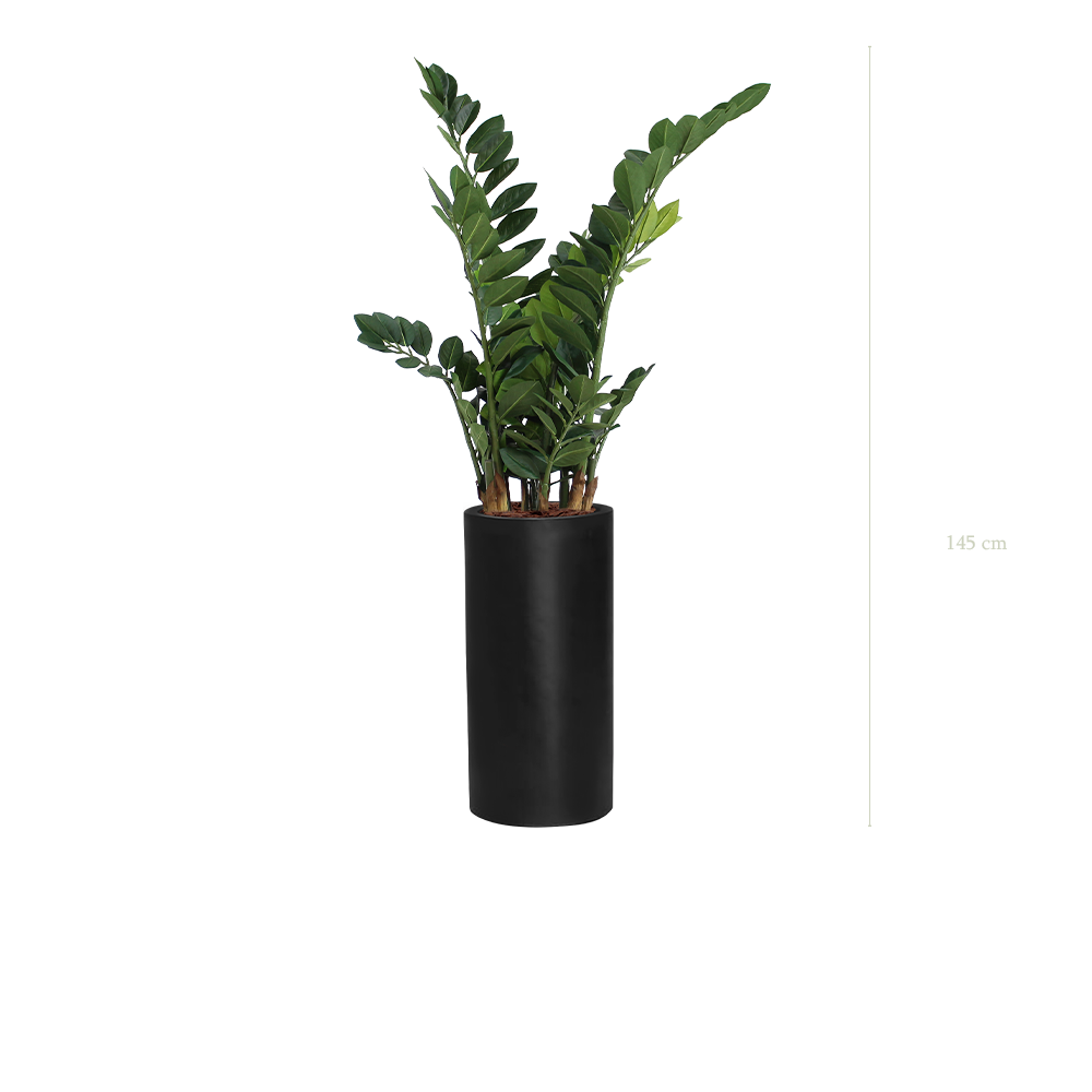 Le Zamia - Cylindre Haut Noir - Artificiel